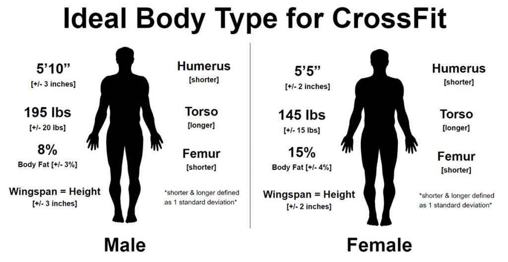 ideal body type for functional fitness